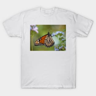 Migration Series IV T-Shirt